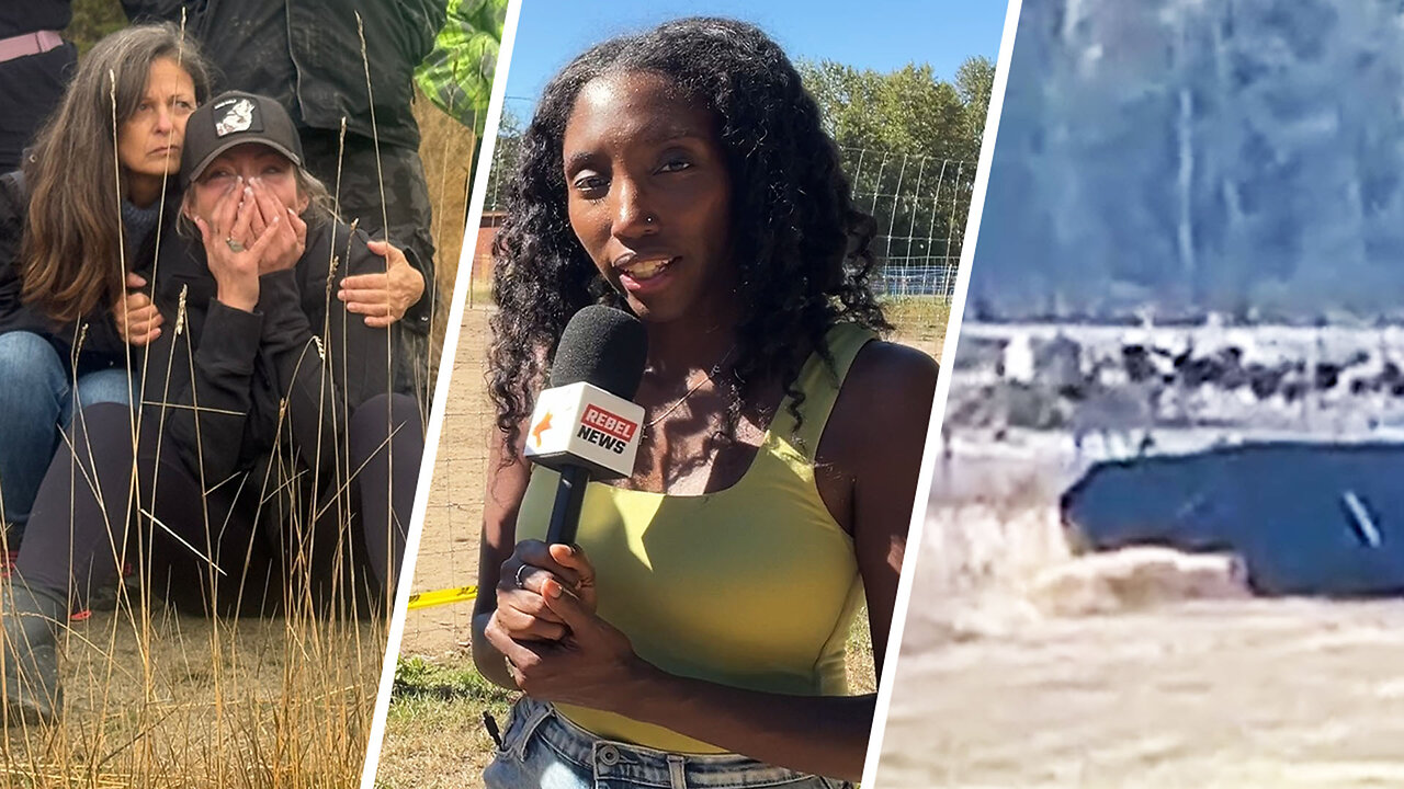 LIVE: “Leave the Birds Alone” Ostrich farm supporters speak out as CFIA begin their mass killing