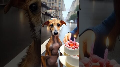 Girl throws birthday party for dog