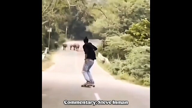 Clown World Compilation