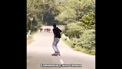 Clown World Compilation