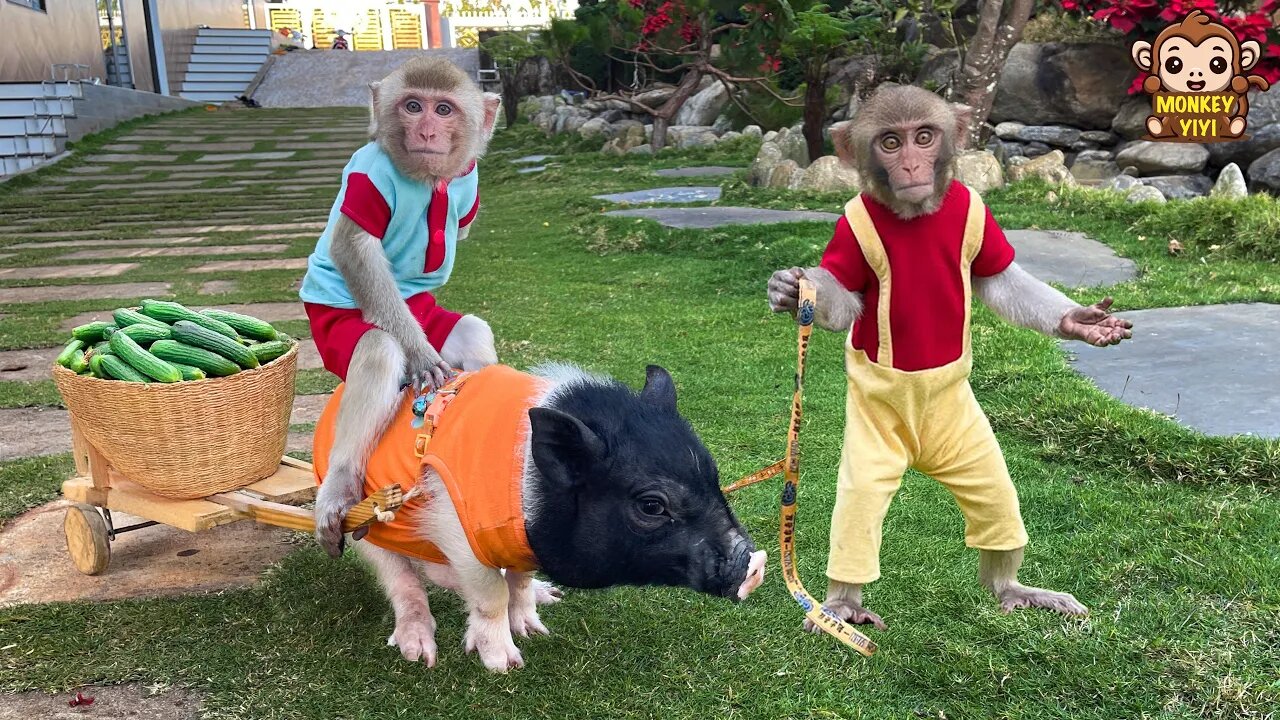How YiYi and YinYin take care of Un In when he comes home