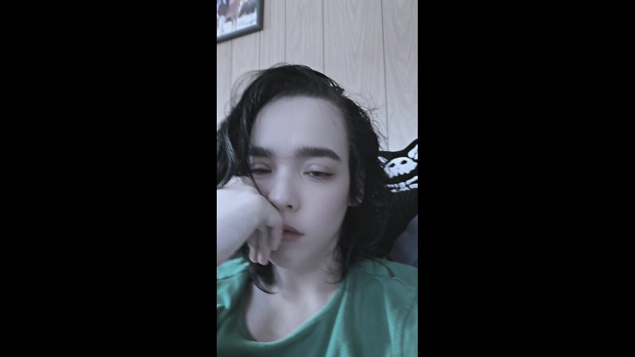 A glimpse inside the mind of a DID System for the host body.