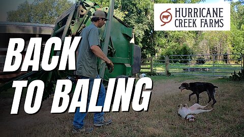 Back to Baling