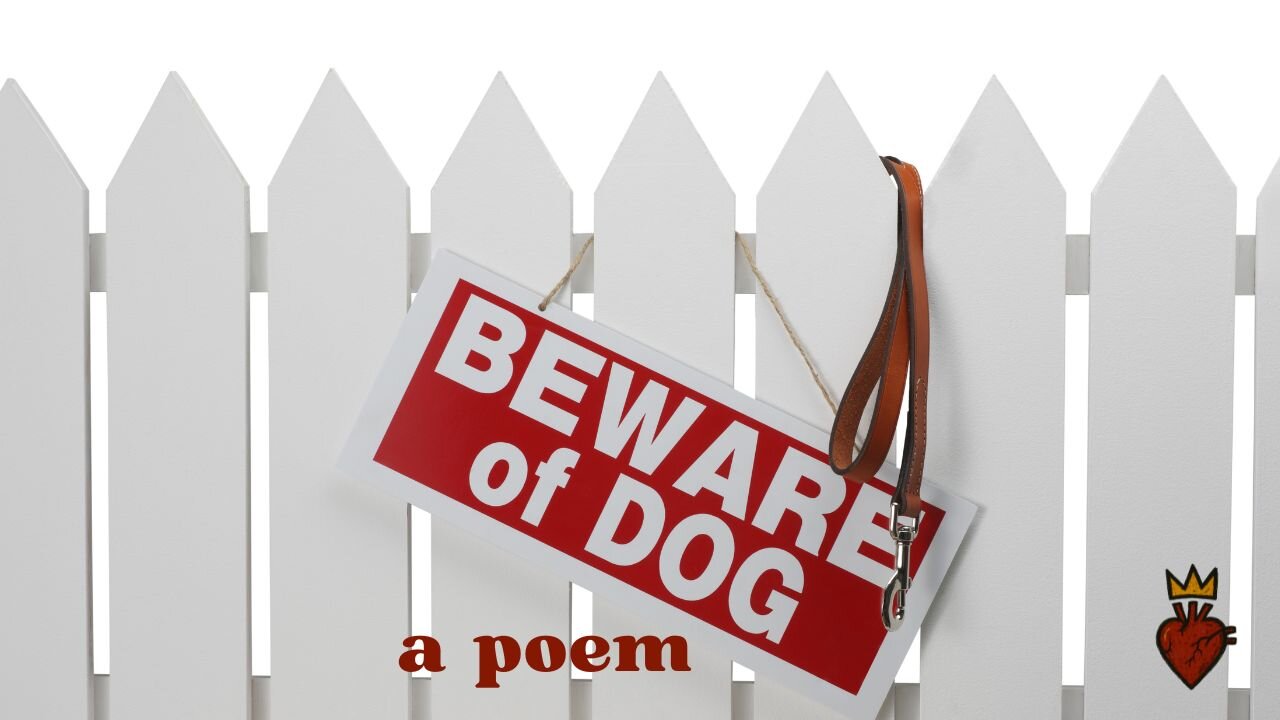 Beware of Dog - a poem