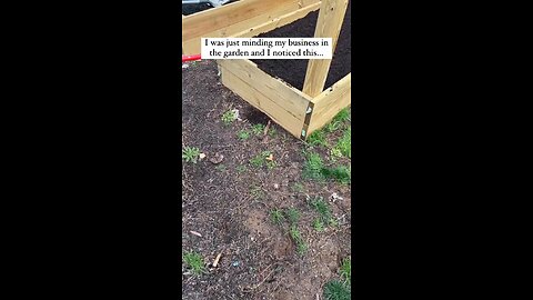 The little XO has Terra Syndrome lol