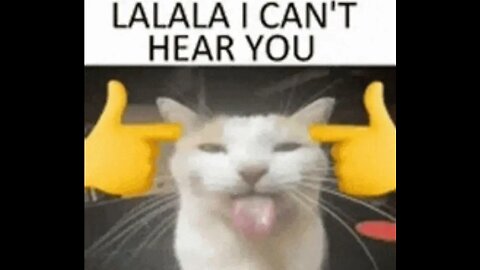 Cat Funny Video