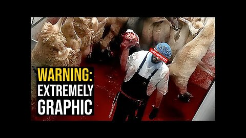 HALAL SLAUGHTERHOUSE EXPOSED IN ENGLAND (EXTREMELY GRAPHIC)