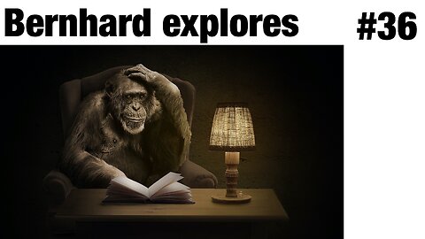 What We Can Learn About Ourselves from Chimpanzees and Bonobos