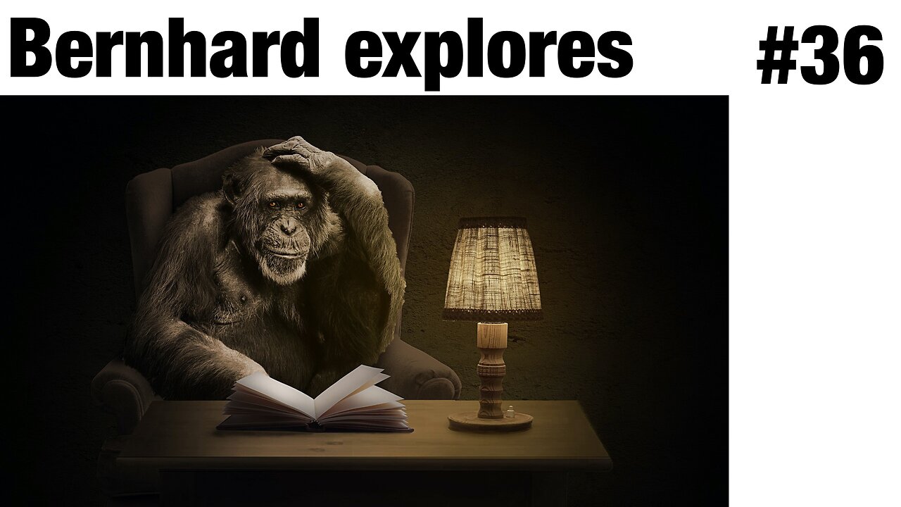What We Can Learn About Ourselves from Chimpanzees and Bonobos