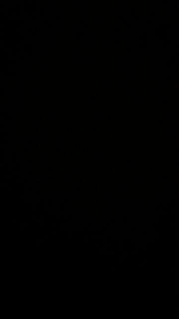 Whistling arrangement for Monday March 17, 2025