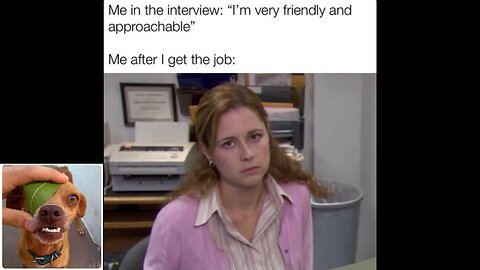 Memes That Will 99.0626% Make You Laugh. (e850)