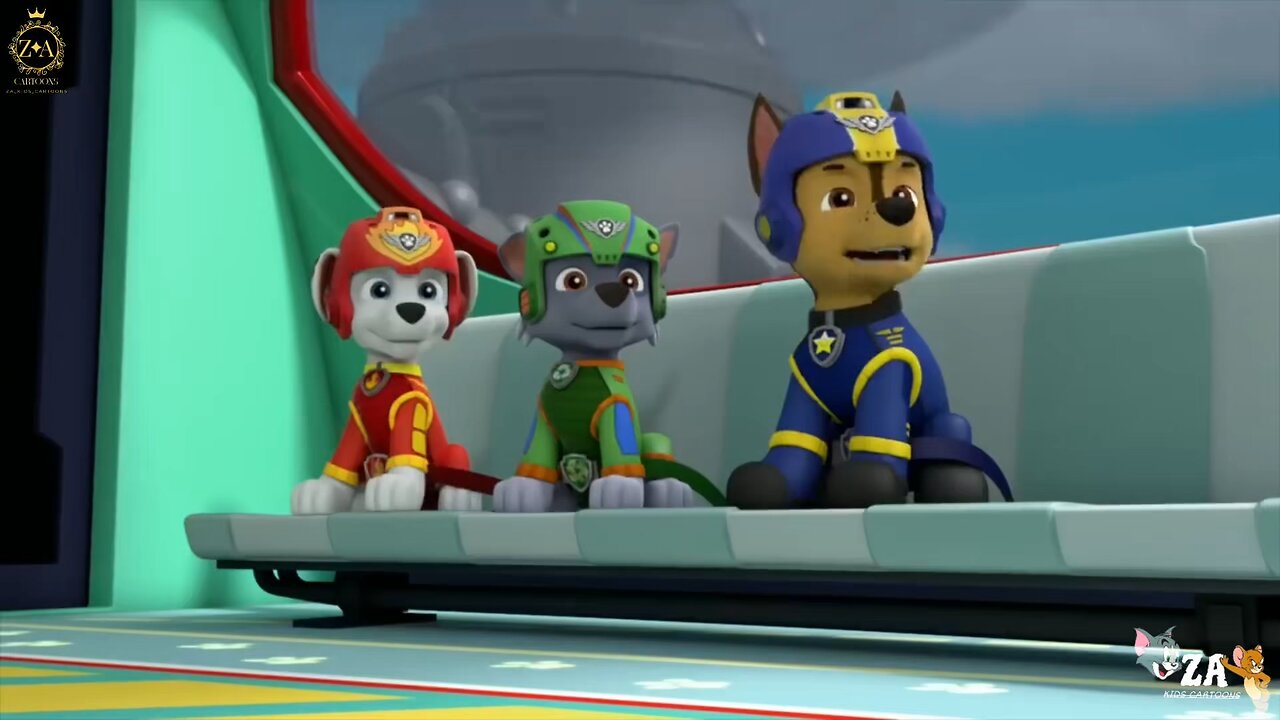 PAW Patrol Cartoons