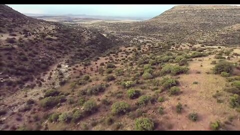 "Exploring the Vibrant Farmlands of Wittejen O'Side in South Africa - August 2021"