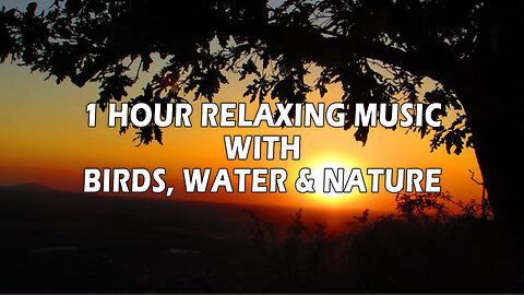 1 HOUR RELAXING MUSIC WITH BIRDS, WATER & NATURE