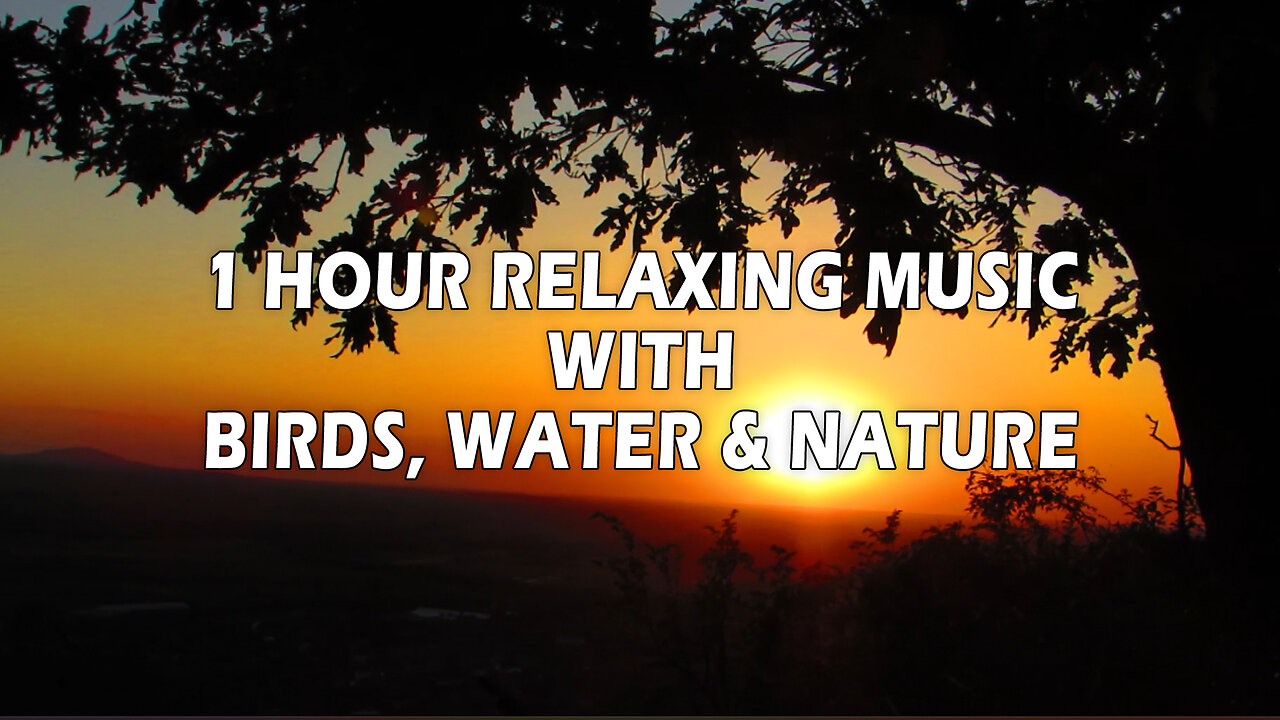 1 HOUR RELAXING MUSIC WITH BIRDS, WATER & NATURE