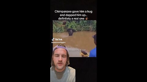 Chimpanzee Colony Discovered In North Dakota?!