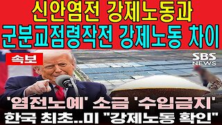 신안염전 강제노동과 군분교점령작전 강제노동 차이