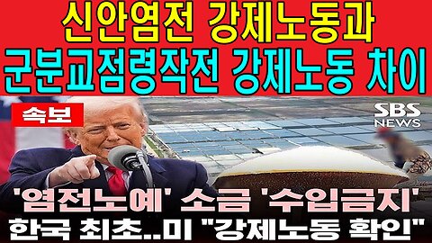 신안염전 강제노동과 군분교점령작전 강제노동 차이
