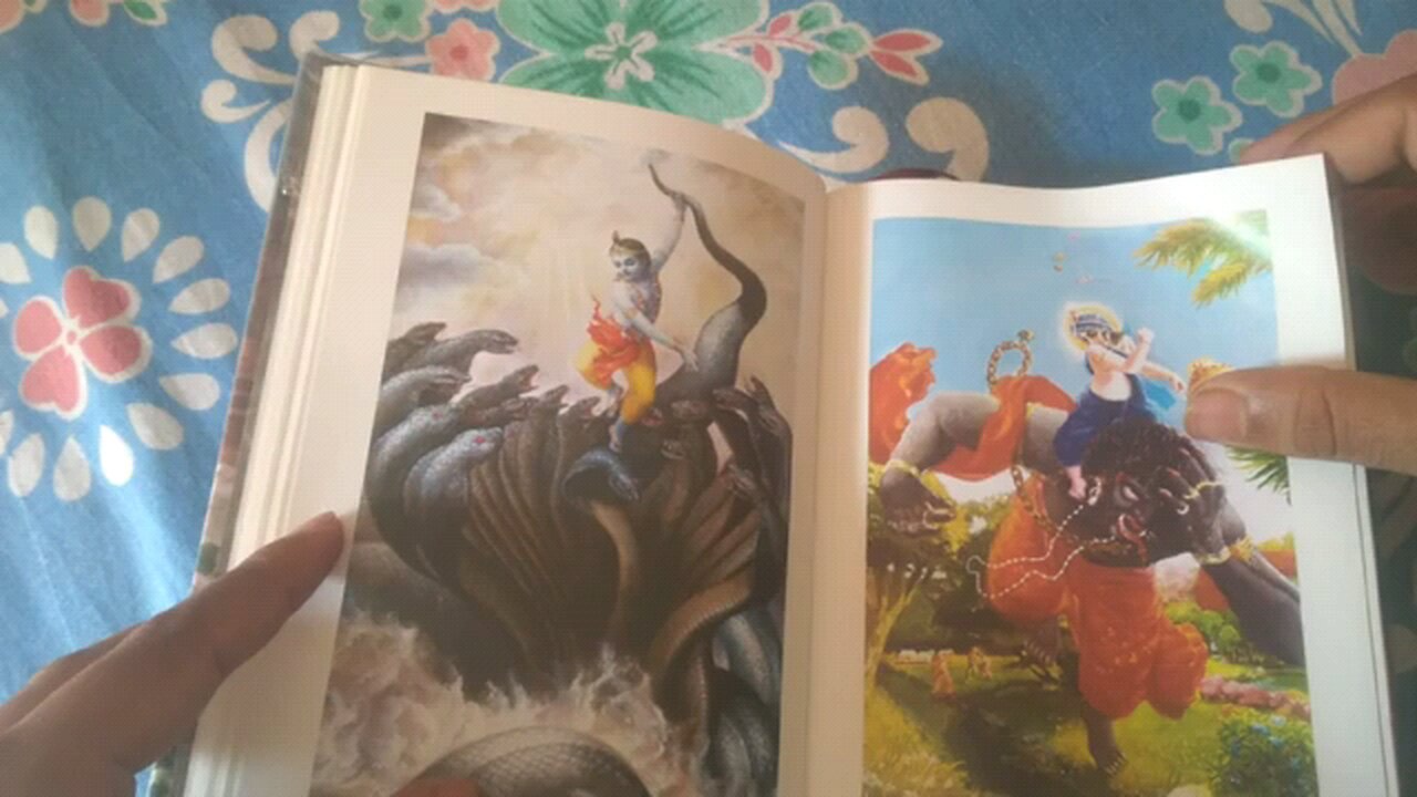 Lila Purushottam Sri Krishna book review in Bengali.