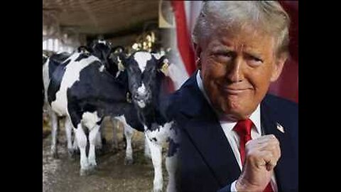 Donald Trump announces his intention to slaughter cows in India