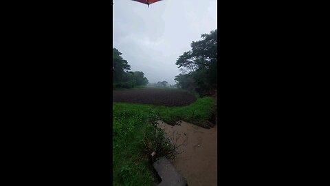 Oh No! Heavy Rain 🌧️ | Unexpected Downpour in the Village