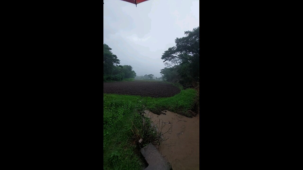 Oh No! Heavy Rain 🌧️ | Unexpected Downpour in the Village