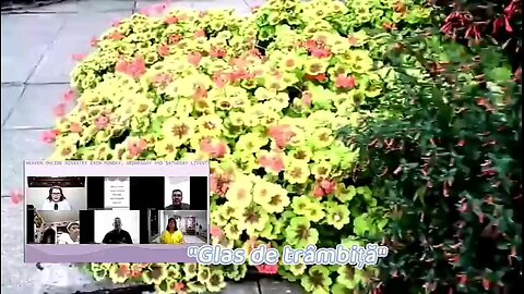 OLTEA HOZAN POEZIA -GLAS DE TRÂMBIȚĂ- editată de Valentin Trif CALEA CĂTRE RAI #LiveBroadcast