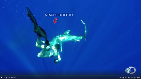 OCEANIC SHARK ATTACK