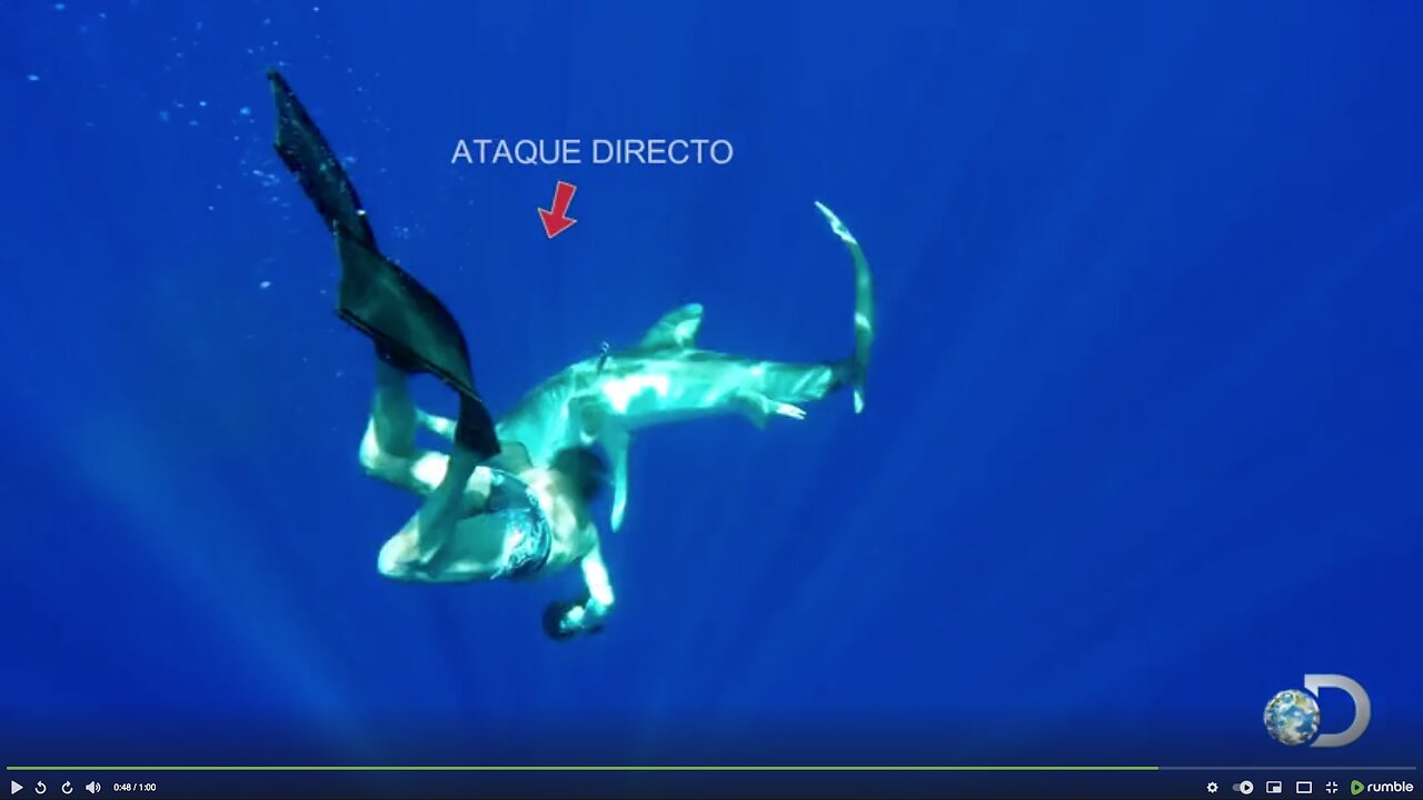 OCEANIC SHARK ATTACK