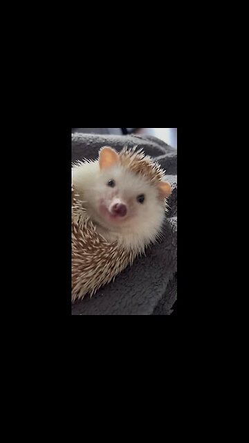 Good food = good mood