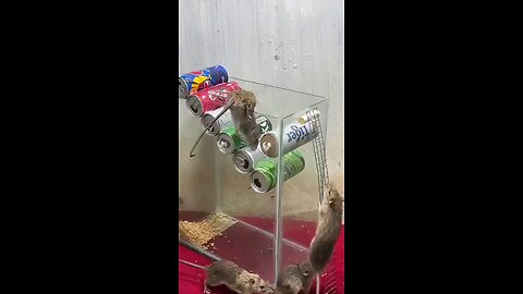 satisfying Video