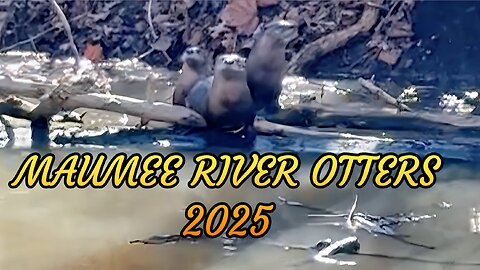 Maumee River Otters 2025