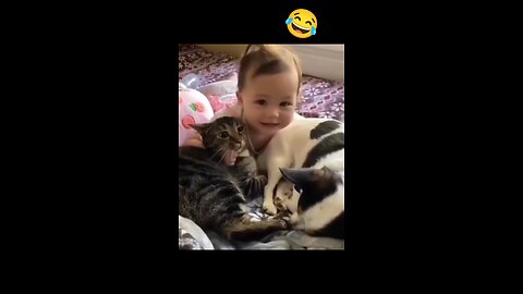 Baby and Dog fun human body