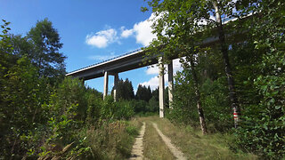 Virtual Hike on a Sunny Day with Forest Sounds