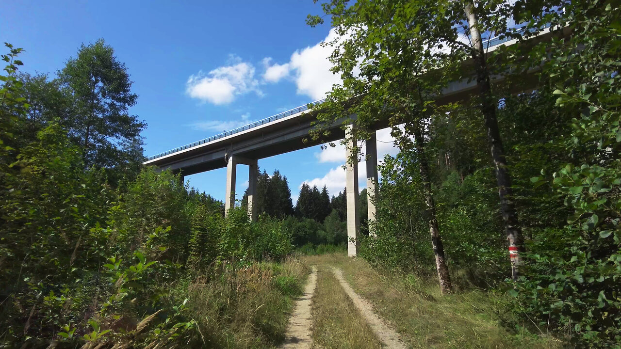 Virtual Hike on a Sunny Day with Forest Sounds