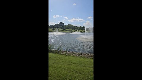 My Peaceful Place - Summertime