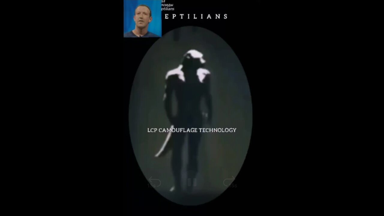 Reptilians And Camouflage