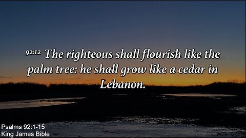 Wednesday March 19th - The Righteous Shall Flourish