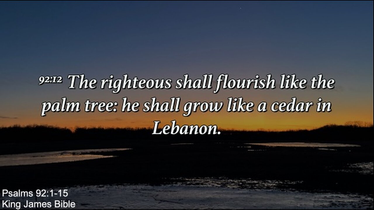 Wednesday March 19th - The Righteous Shall Flourish