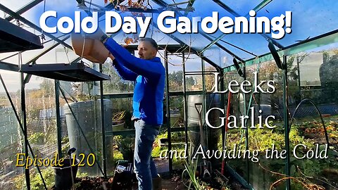 Planting garlic in pots and dealing with massive leek harvest