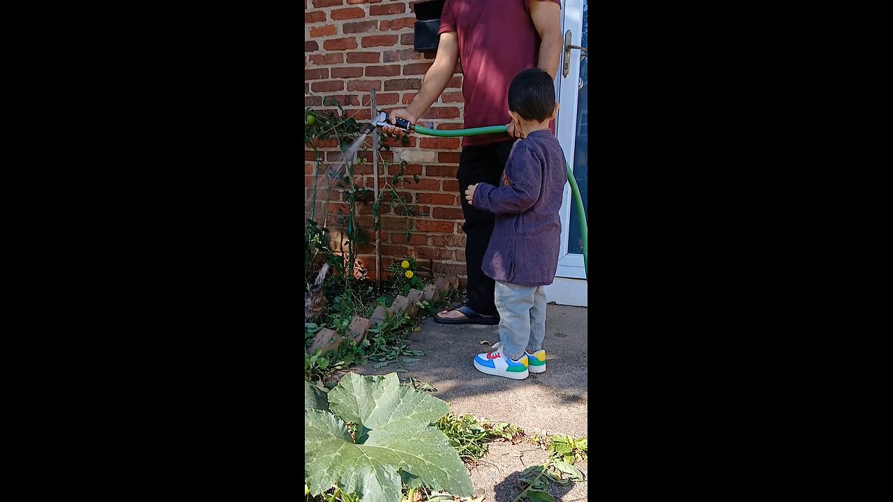 organic vegetables garden