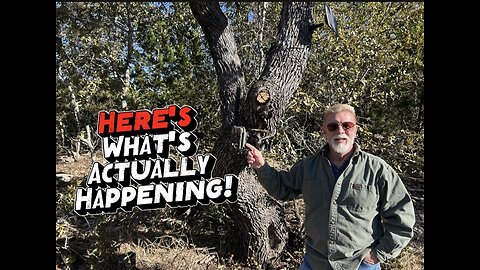 Trail Cam Lithium Battery Problem… SOLVED!