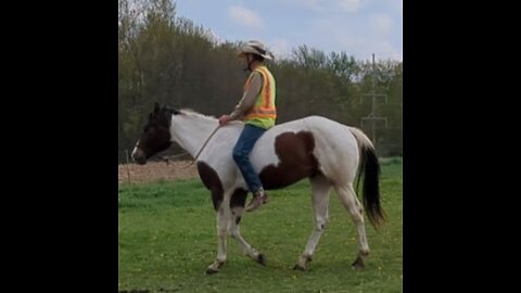 Oakley - first time moving with a person on his back - 2 May 2025