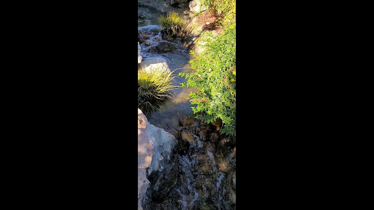 Huntington Botanical Garden Pasadena CA