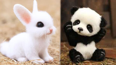 Cute baby animals Videos Compilation cute moment of the animals