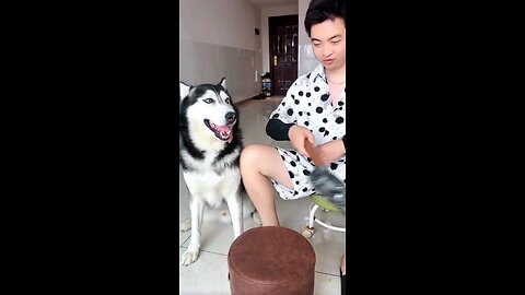 funny video