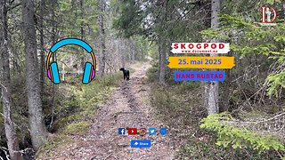 Skogpod 25. mai 2025