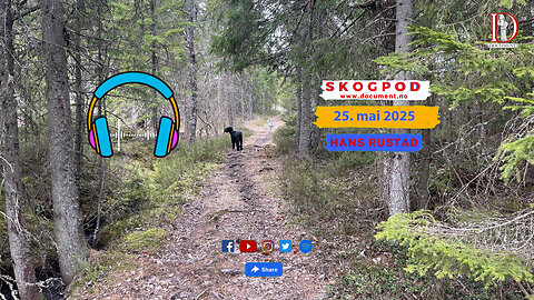 Skogpod 25. mai 2025