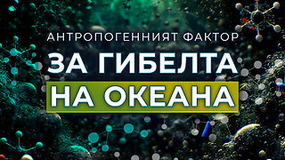 Антропогенен Фактор За Гибелта на Океана | Научнопопулярен Филм