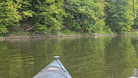 smallmouth bass